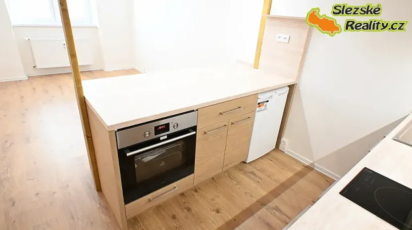 Pronájem bytu 1+kk, Ostrava, Palackého, 26 m2