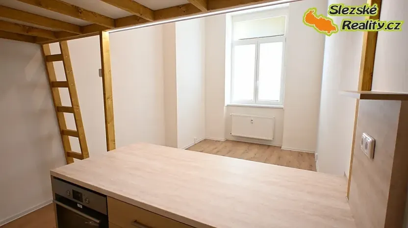 Pronájem bytu 1+kk, Ostrava, Palackého, 26 m2