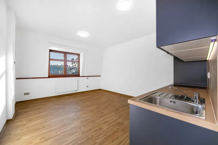 Pronájem bytu 1+kk, Plzeň - Severní Předměstí, Bolevecká, 27 m2