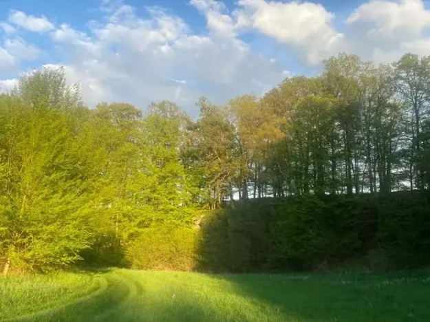 Dražba louky, Tachov, 3829 m2