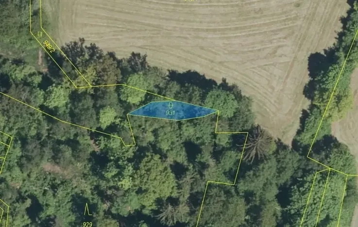 Dražba pozemku, Zálezly, 126 m2