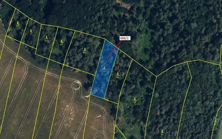 Dražba lesa, Přemyslovice, 1381 m2