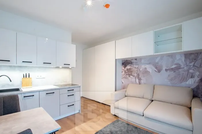 Pronájem bytu 1+kk, Tuchoměřice, V Kněžívce, 22 m2