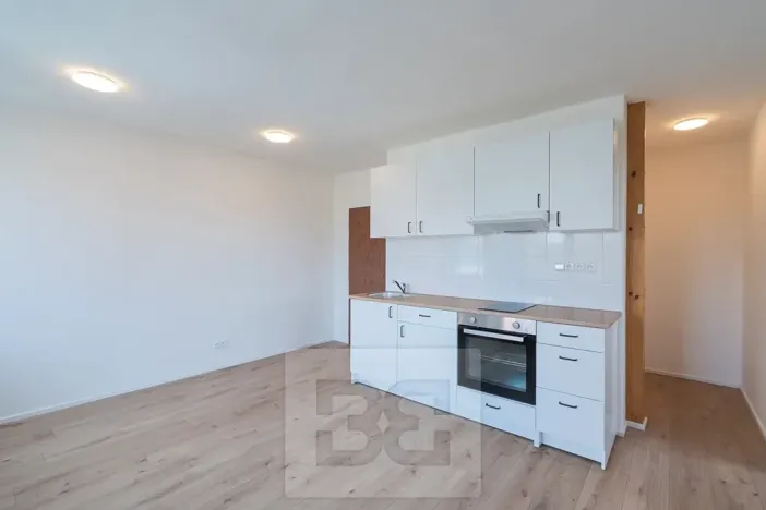 Pronájem bytu 3+kk, Praha - Hodkovičky, Havlovického, 35 m2