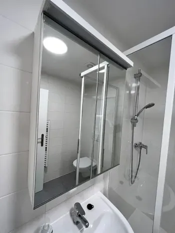 Pronájem bytu 1+kk, Brno, Hády, 18 m2