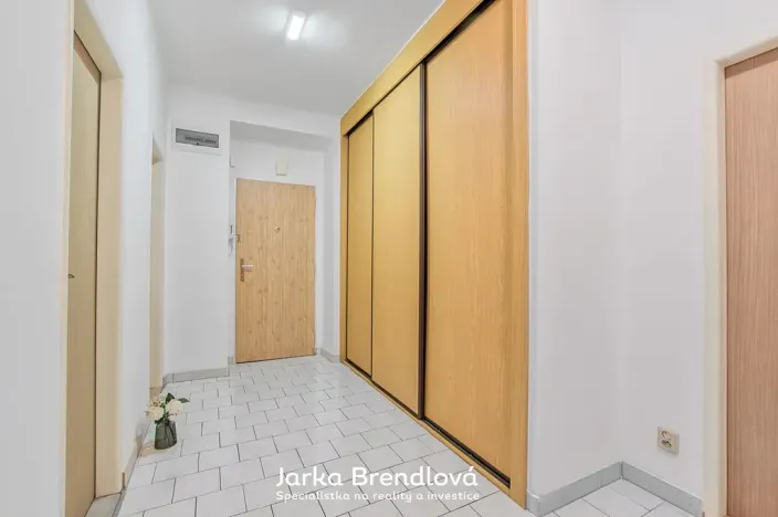 Prodej bytu 2+kk, Ostrava, Alšovo náměstí, 51 m2
