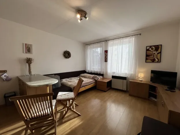 Pronájem bytu 1+kk, Třeboň - Třeboň II, U Francouzů, 28 m2