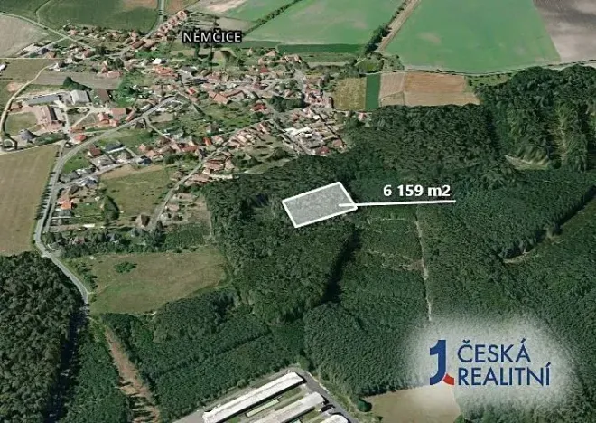 Prodej podílu lesa, Němčice, 1026 m2