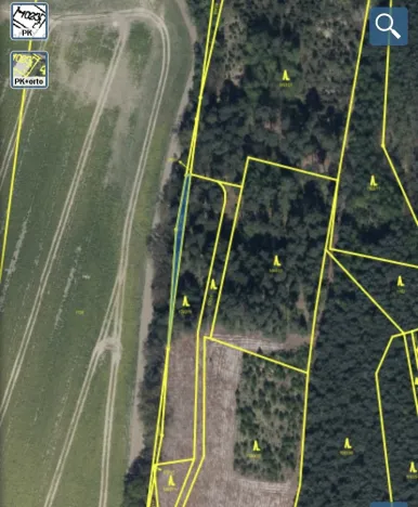 Prodej lesa, Veliny, 5028 m2