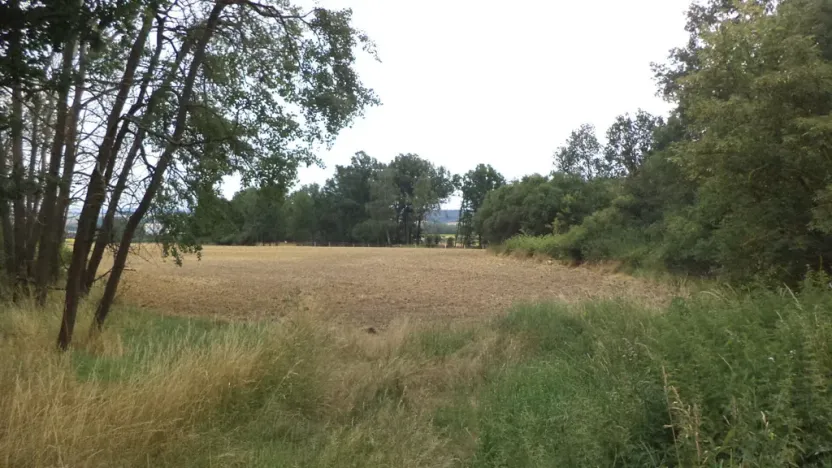 Prodej zahrady, Heřmanova Huť - Vlkýš, 1100 m2