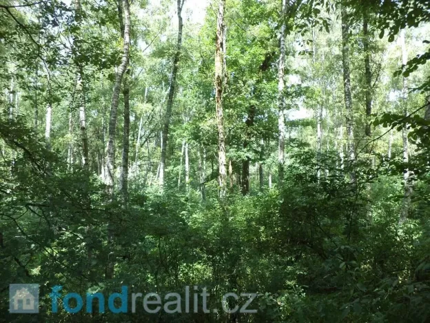 Prodej pozemku, Kaplice - Blansko, 19480 m2