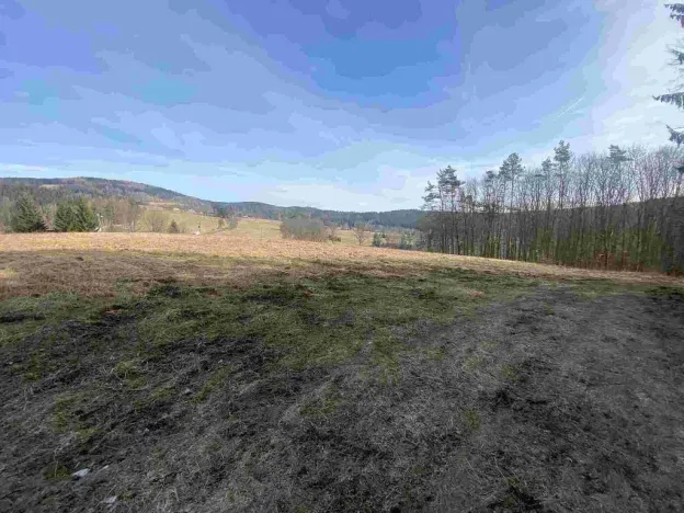 Prodej pole, Kraslice, 3869 m2