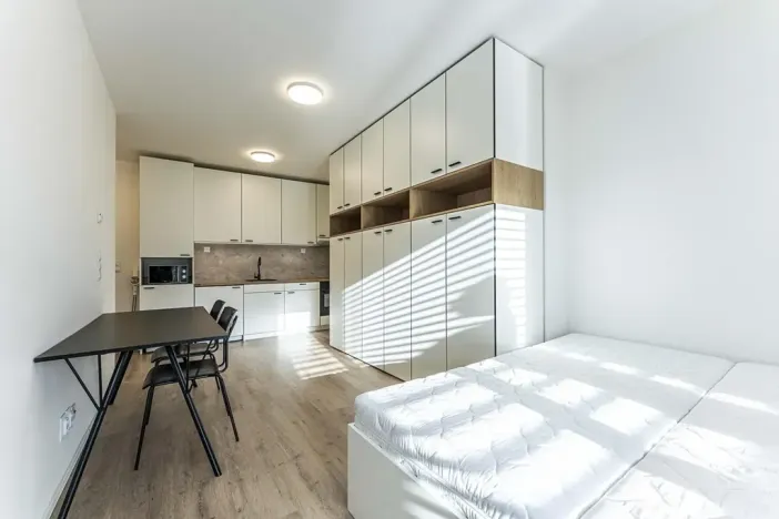 Pronájem bytu 1+kk, Praha - Nusle, Na bitevní pláni, 30 m2