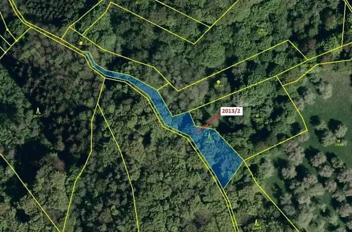 Dražba lesa, Slopné, 1363 m2