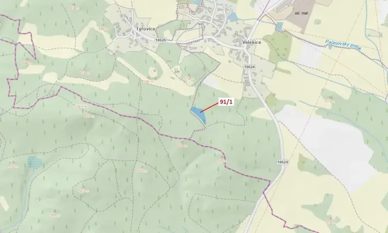 Dražba lesa, Pačejov, 3251 m2