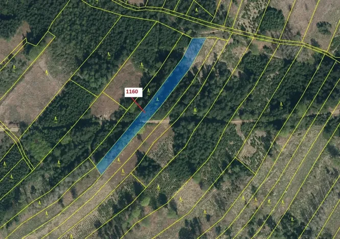 Dražba lesa, Vilice, 2693 m2