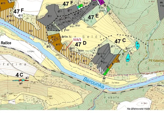 Dražba lesa, Sýkořice, 10228 m2