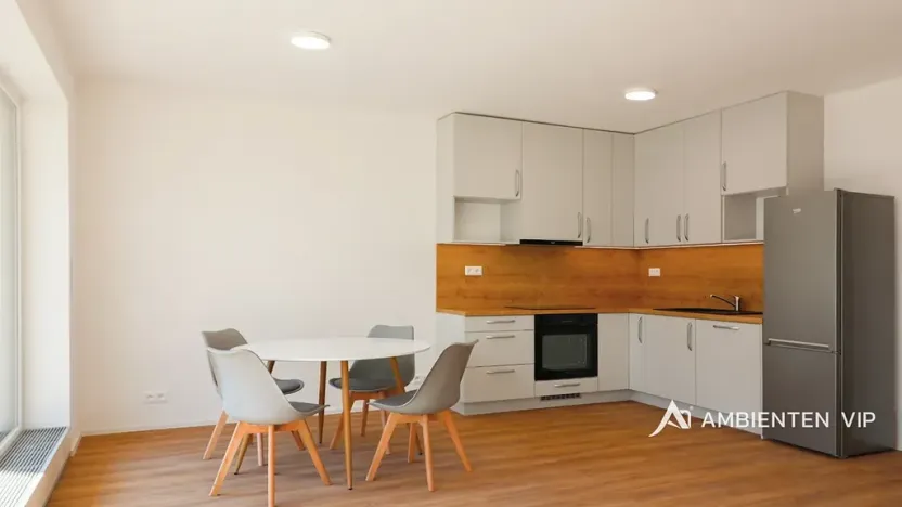 Pronájem bytu 1+kk, Brno, Ondřeje Sekory, 41 m2