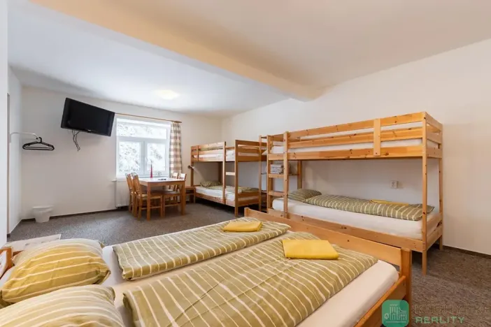 Prodej ubytování, Loučná pod Klínovcem, 428 m2