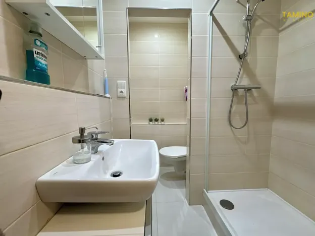 Prodej bytu 1+1, Třebíč, Modřínová, 38 m2