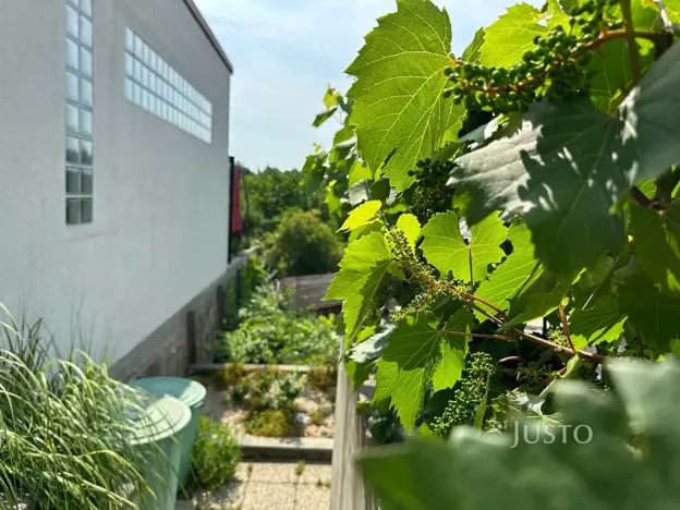 Pronájem pokoje, Brno, Kostelní zmola, 15 m2