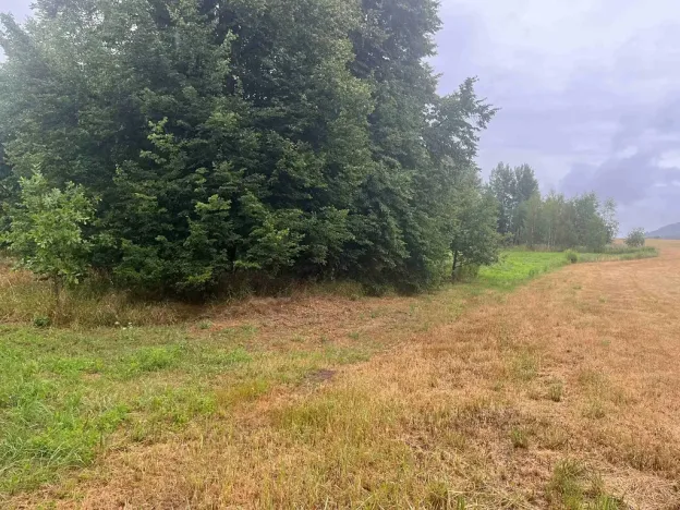 Prodej domu na klíč, Mimoň, Vranovská, 104 m2