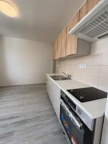 Pronájem bytu 1+1, Třebíč, Fügnerova, 45 m2