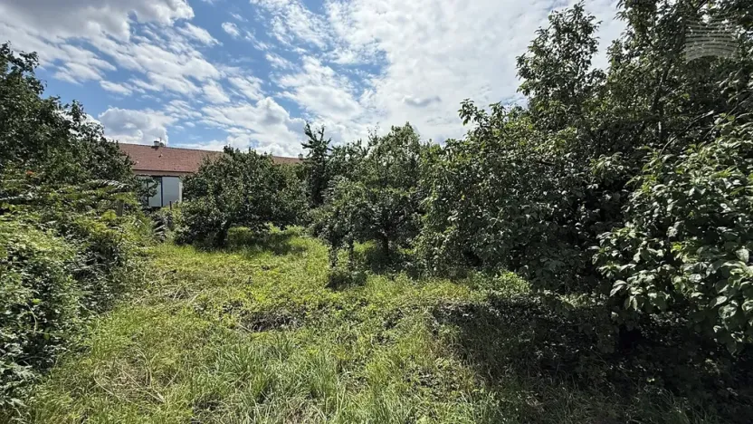 Prodej vinného sklepa, Dolní Věstonice, 54 m2