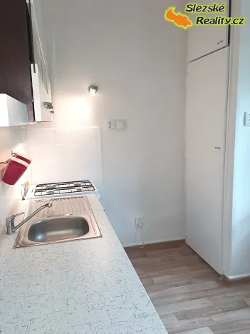 Pronájem bytu 2+1, Ostrava, Heyrovského, 54 m2