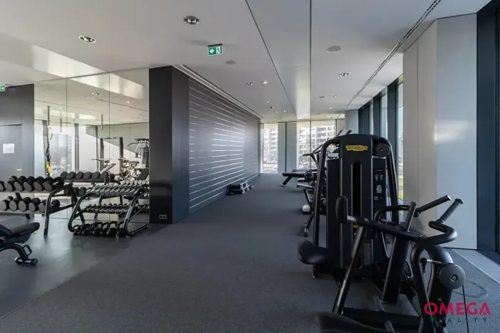 Pronájem bytu 3+kk, Praha - Krč, Milevská, 163 m2