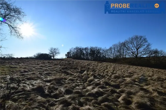 Prodej pozemku pro bydlení, Mirotice, 9991 m2