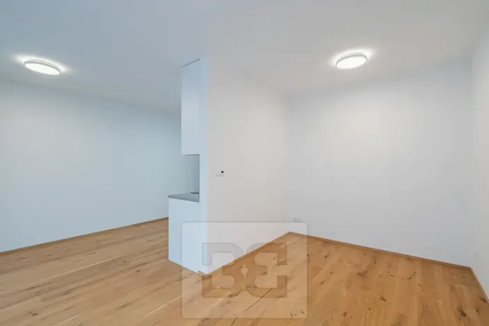Pronájem bytu 1+kk, Praha - Košíře, Starokošířská, 40 m2