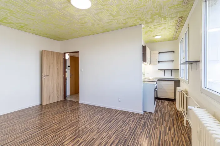 Pronájem bytu 1+kk, Mladá Boleslav, Zalužanská, 25 m2