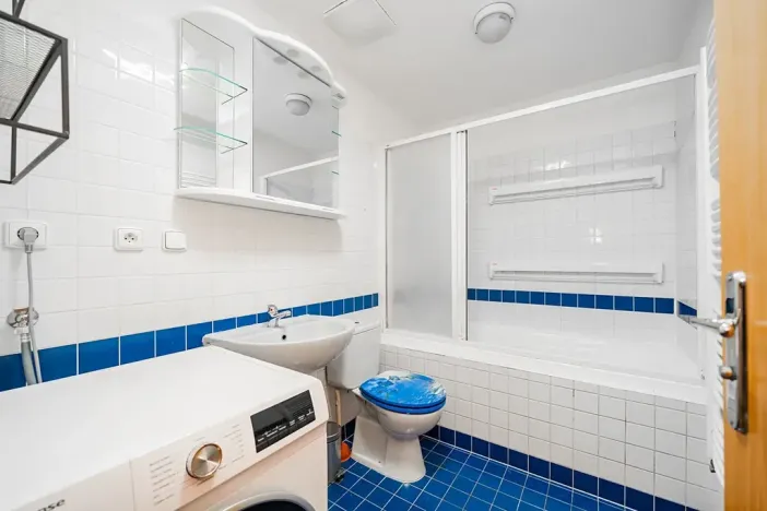 Pronájem atypického bytu, Praha - Staré Město, Bílkova, 40 m2