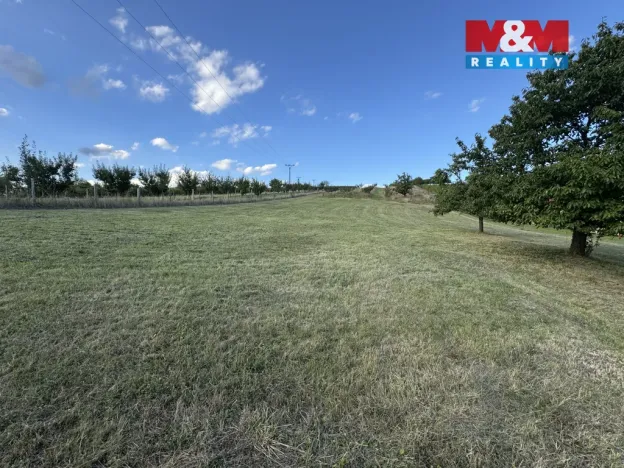 Prodej pozemku pro bydlení, Borkovany, 7835 m2