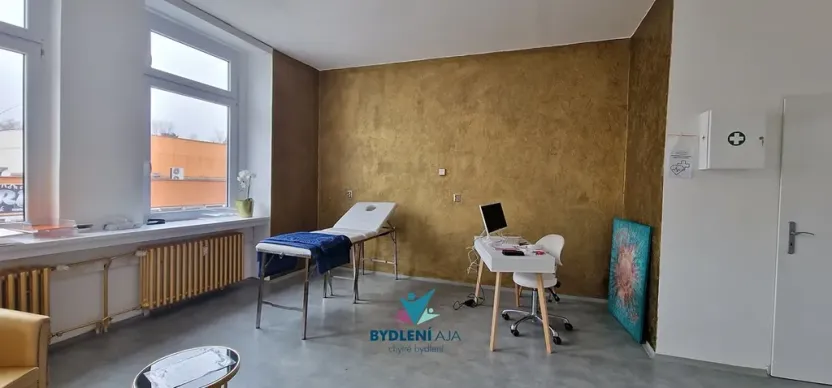 Pronájem ordinace, Teplice, Plynárenská, 90 m2