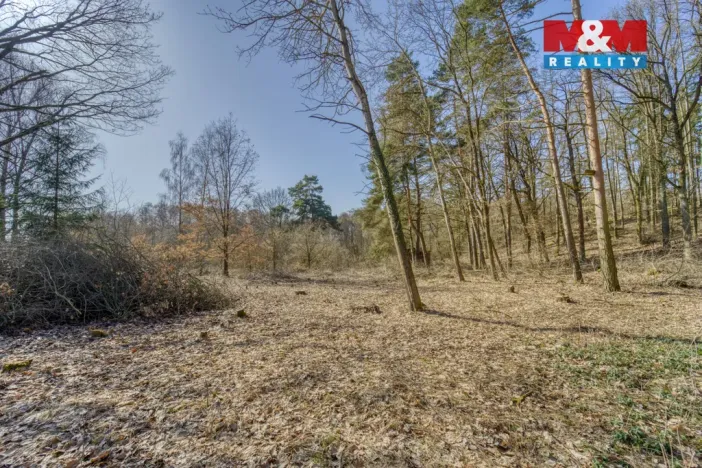 Prodej zahrady, Kunějovice, 1697 m2