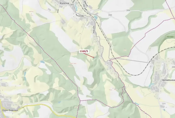 Dražba lesa, Letohrad, 282 m2