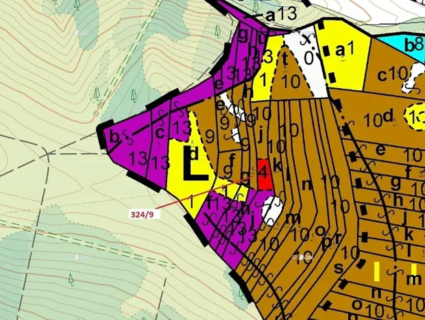 Dražba lesa, Chotěbudice, 1978 m2