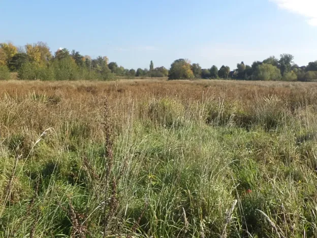 Dražba louky, Církvice, 2352 m2