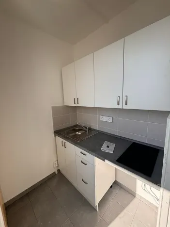 Pronájem bytu 1+1, Brno, Ibsenova, 34 m2