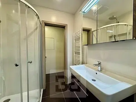 Pronájem bytu 1+kk, Brno, Milady Horákové, 44 m2