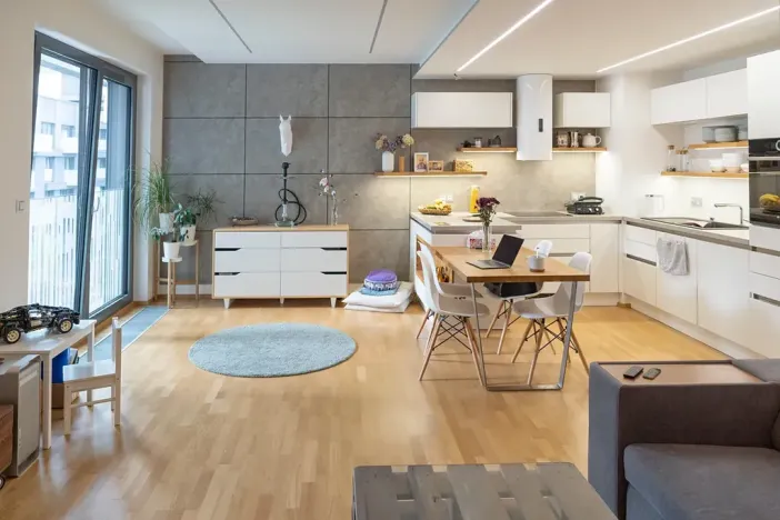 Pronájem bytu 2+kk, Praha - Žižkov, Olšanská, 69 m2