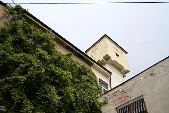 Pronájem kanceláře, Hradec Králové, Pospíšilova, 79 m2