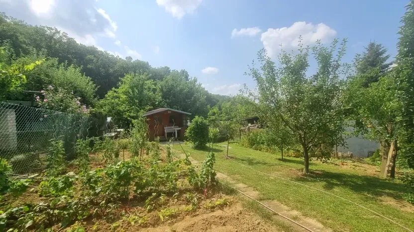 Pronájem zahrady, Brno, 438 m2