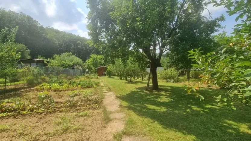 Pronájem zahrady, Brno, 438 m2