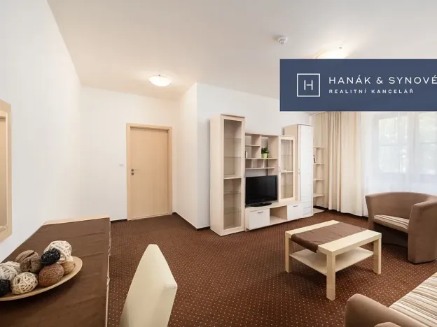 Pronájem bytu 2+1, Brno, Anenská, 49 m2