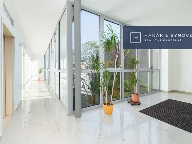 Pronájem bytu 2+1, Brno, Anenská, 52 m2