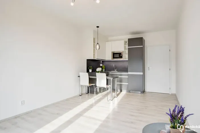 Pronájem bytu 1+kk, Olomouc, Věry Pánkové, 33 m2