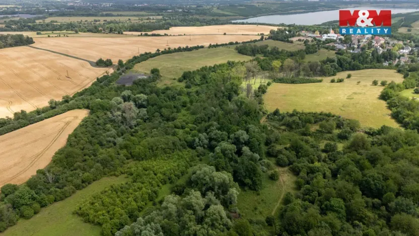Prodej louky, Chabařovice - Roudníky, 46243 m2